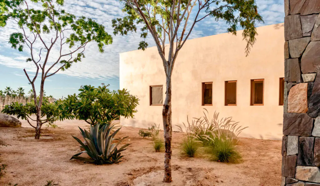 Todos Santos Homes for Sale