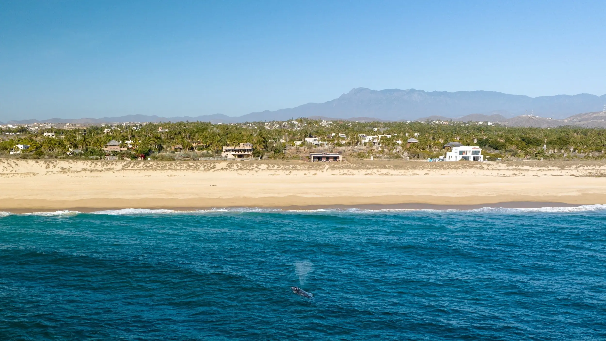 Todos Santos Luxury Villas for Sale
